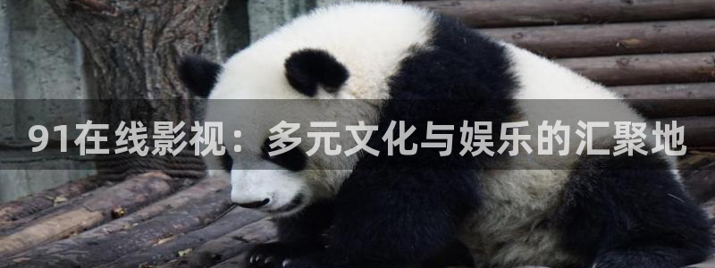 www.浮力影院：91在线影视：多元文化与娱乐的汇聚地
