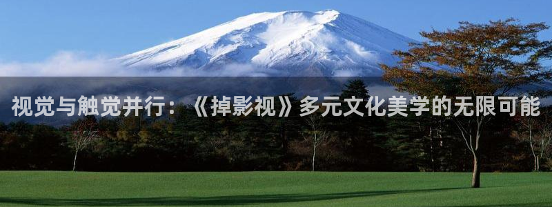 国产一区浮力影院：视觉与触觉并行：《掉影视》多元文化美学的无限可能