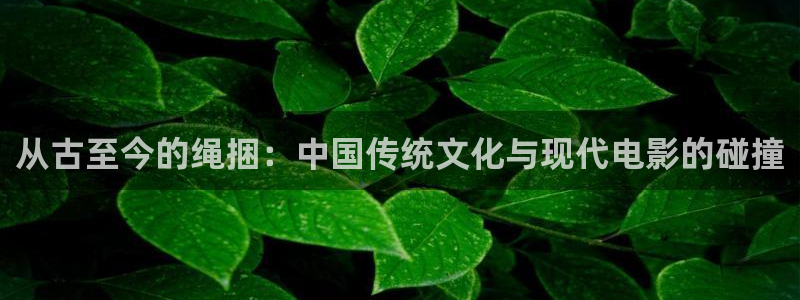 浮力影院cc：从古至今的绳捆：中国传统文化与现代电影的碰撞