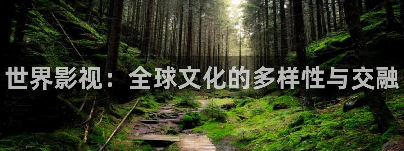 浮力影院免费地址：世界影视：全球文化的多样性与交融