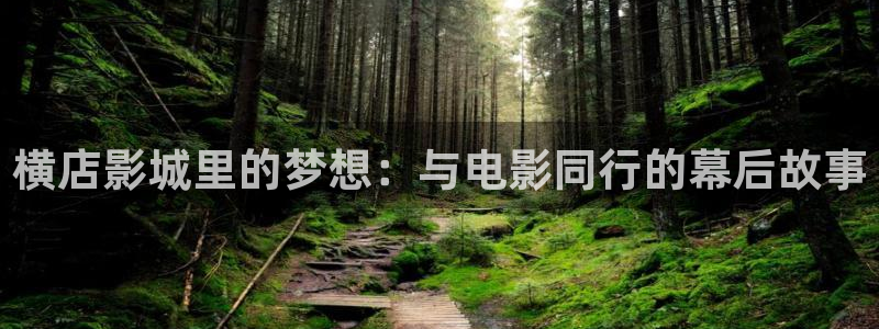浮力影城：横店影城里的梦想：与电影同行的幕后故事