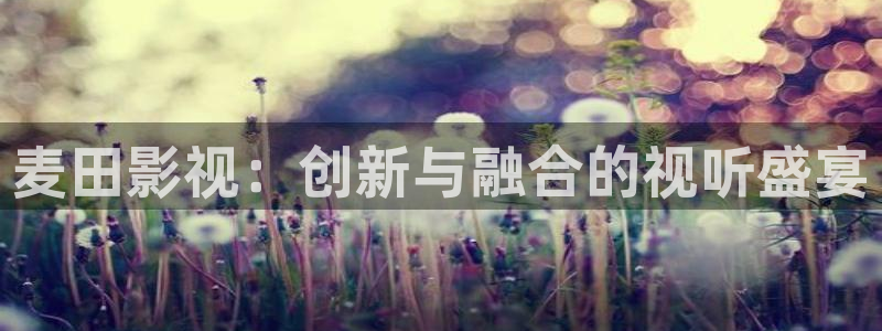 浮力影院欧美第一页：麦田影视：创新与融合的视听盛宴