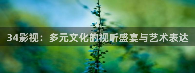 浮力第一草草影院：34影视：多元文化的视听盛宴与艺术表达